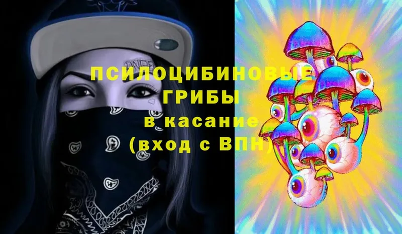 Галлюциногенные грибы Cubensis  Каменногорск 